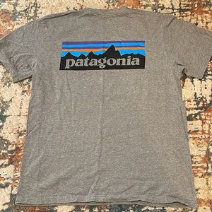 Patagonia Shirt